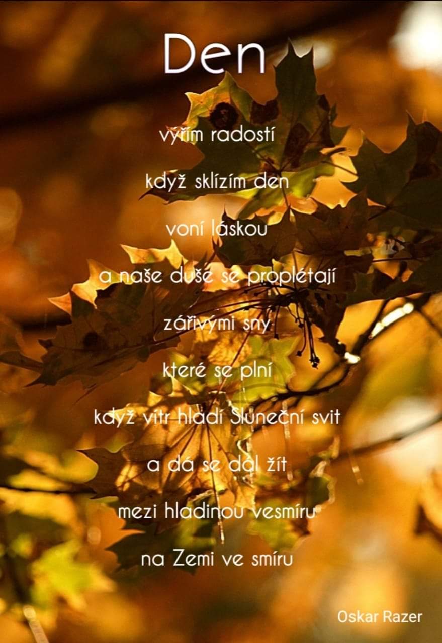 FB_IMG_1602780832406